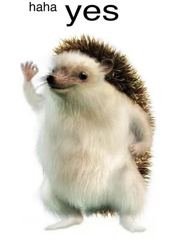 Hedgehog